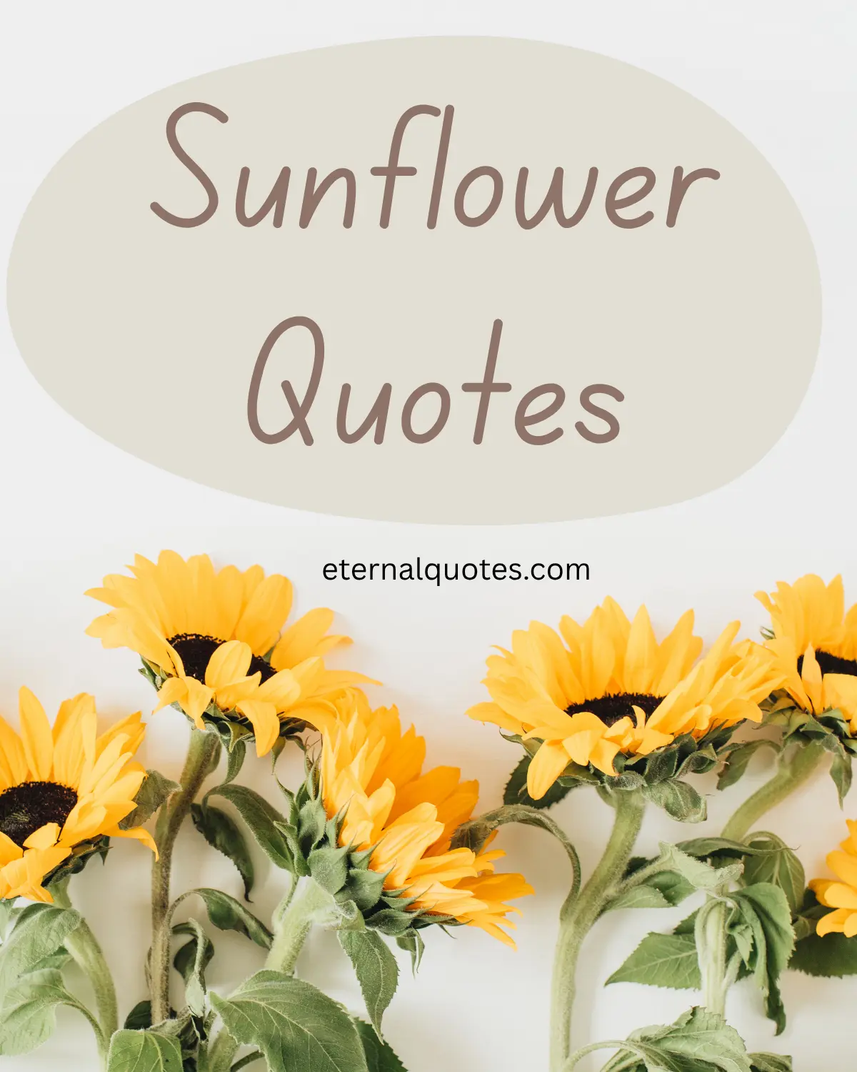 Sunflower quotes about positivity and growth