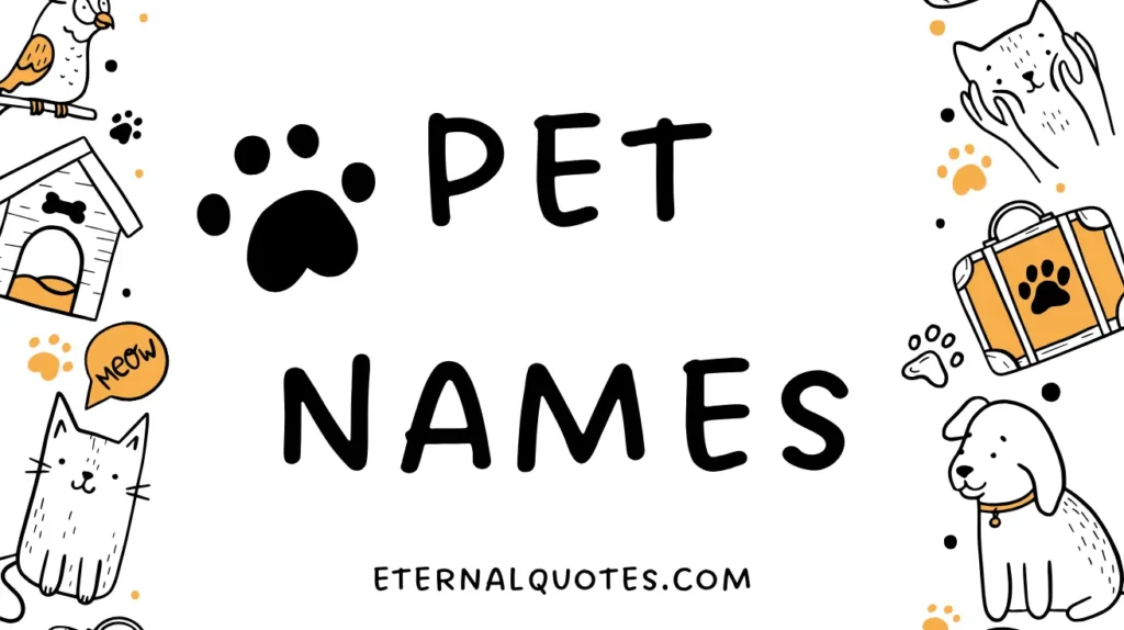 Pet Names