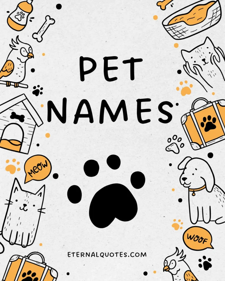 Pet names about cute nicknames and affection