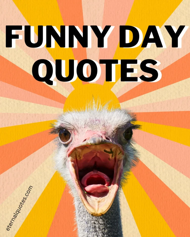 Funny day quotes with humor and everyday chaos vibes