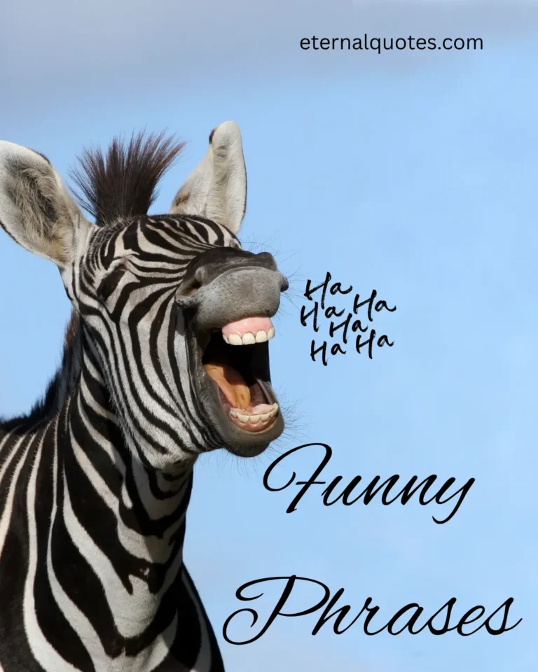 Funny phrases with humor and playful energy